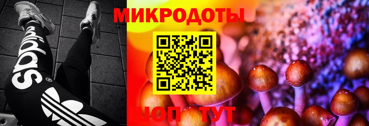где продают наркотики  Галлюциногенные грибы MAGIC MUSHROOMS  Вход с VPN  Нефтеюганск 